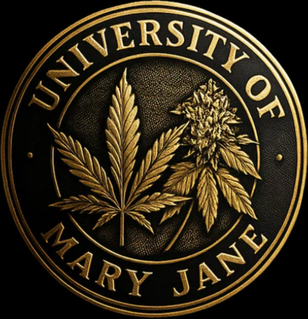 UNIVERSITY OF MARY JANE
