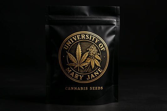 Limited Edition #13